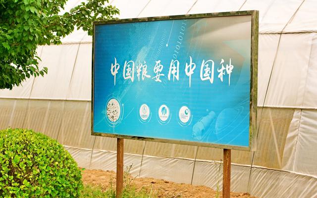 什么是種子處理？你有了解嗎？